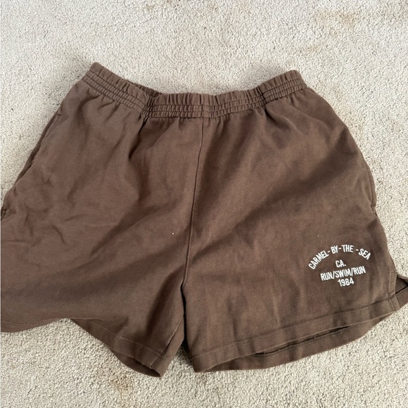 Brandy Melville Pants - Brandy Melville Brown Shorts